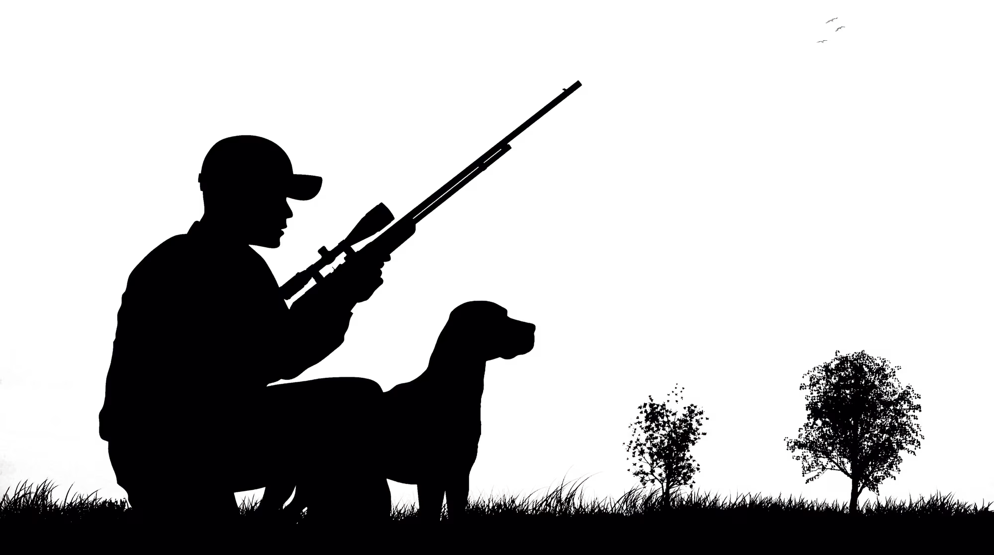 Local Roots in Spring, Texas