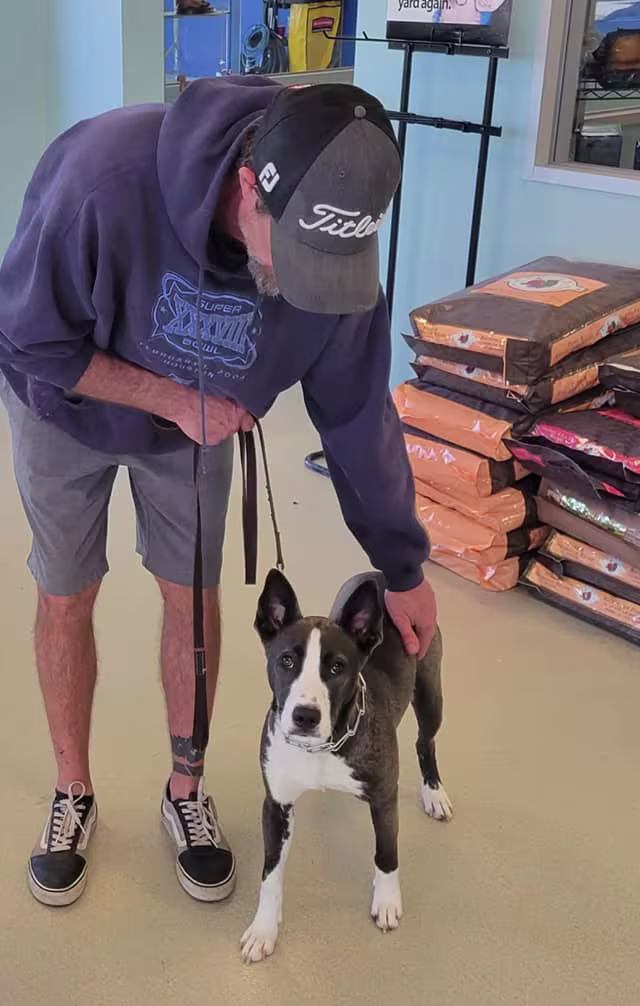 Mike Jeter, Professional Dog Trainer in Spring TX with 30+ years experience